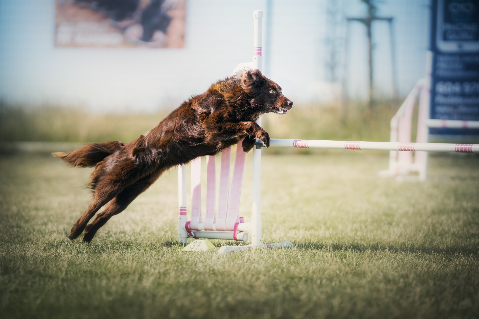 Foto Ellis Beránková