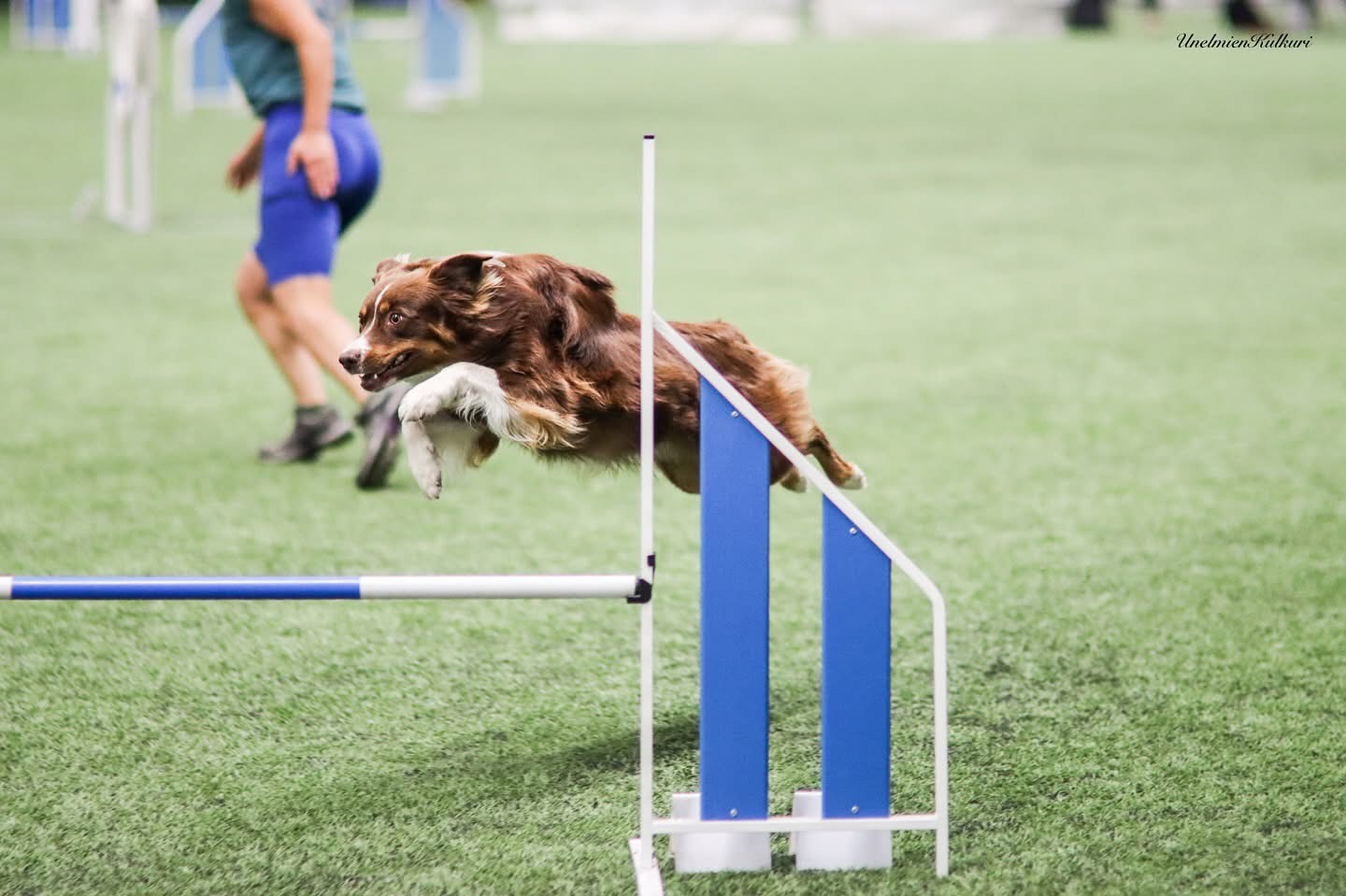 © Unelmienkulkuri/Elise Nevala